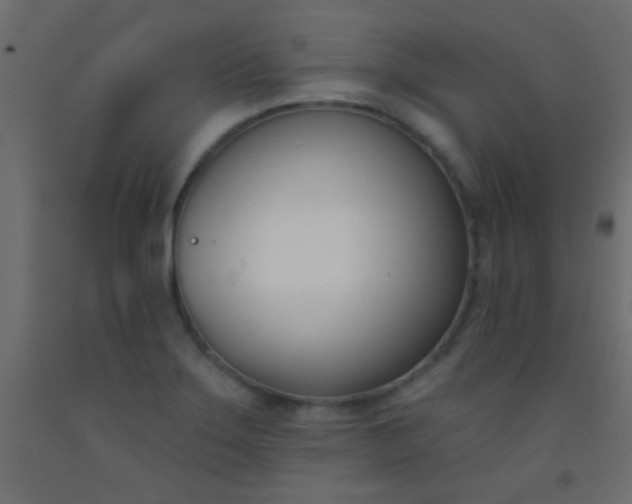 X0000093091275200710101509