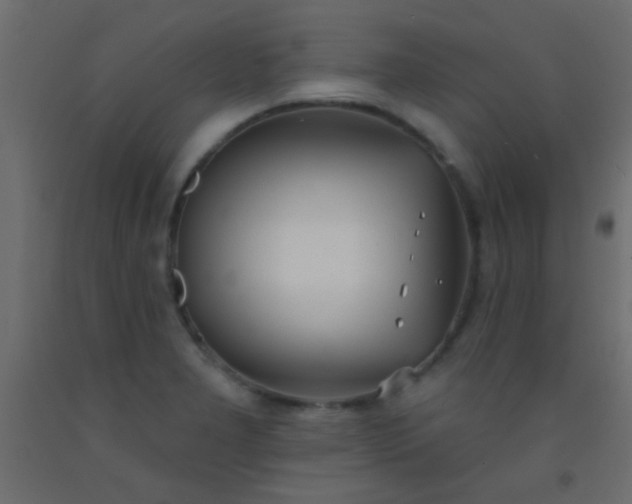 X0000093091277200710101509