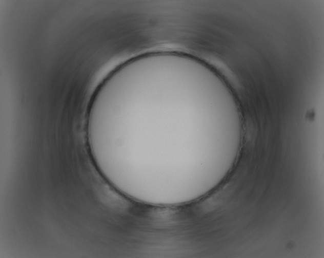 X0000093091278200710101509