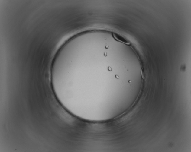 X0000093091280200710101509