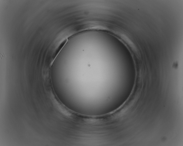 X0000093091281200710101509