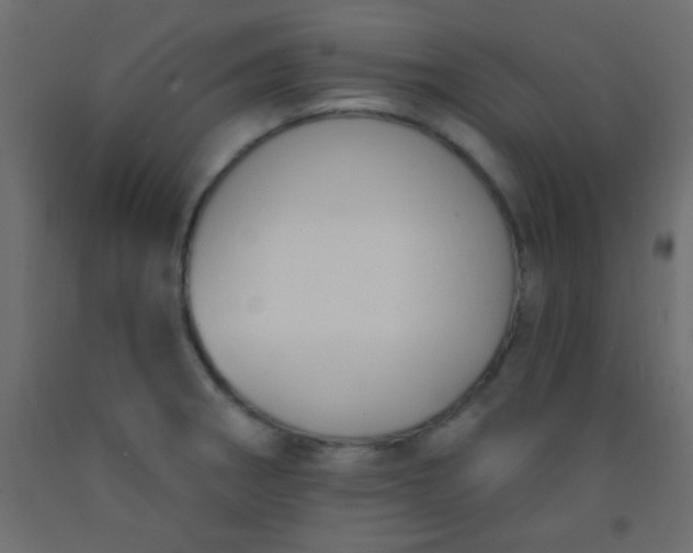 X0000093091282200710101509