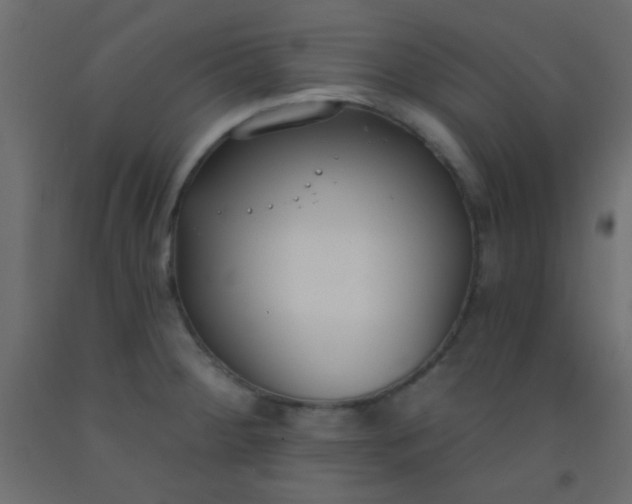 X0000093091284200710101509