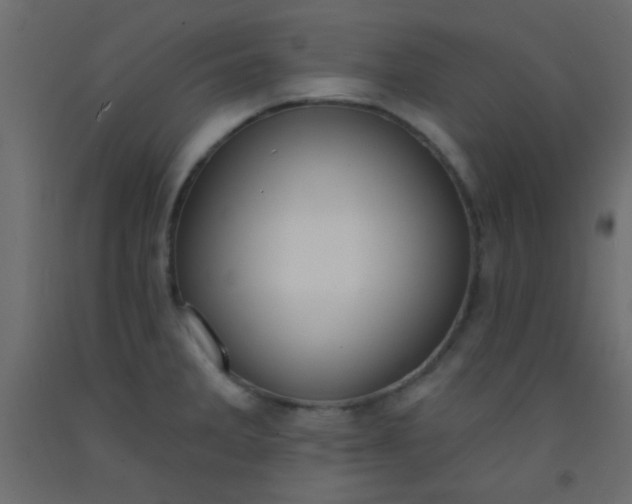 X0000093091285200710101509