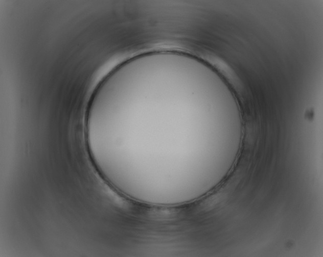 X0000093091286200710101509