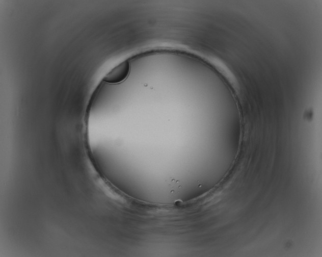 X0000093091287200710101509