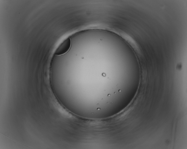 X0000093091288200710101509