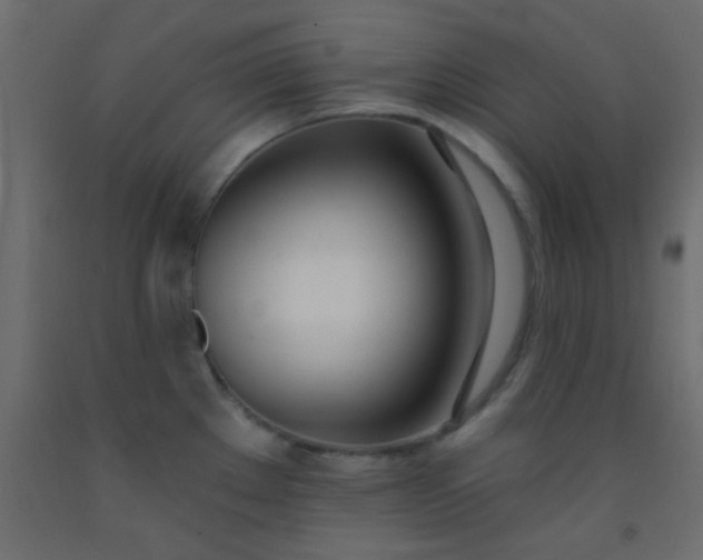 X0000093091289200710101509