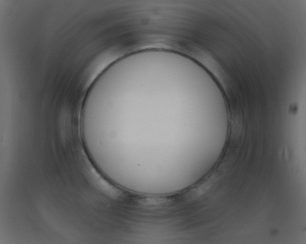 X0000093091290200710101509