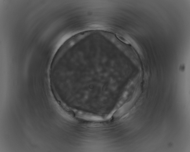 X0000093091291200710101509