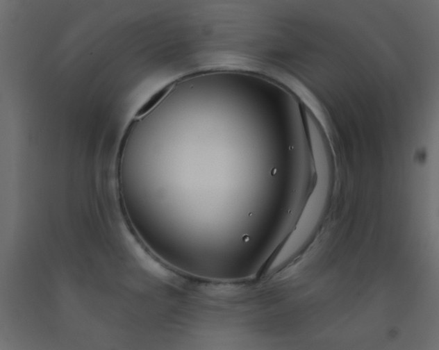 X0000093091293200710101509