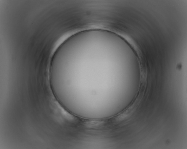 X0000093091294200710101509