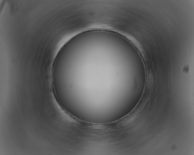 X0000093091295200710101509