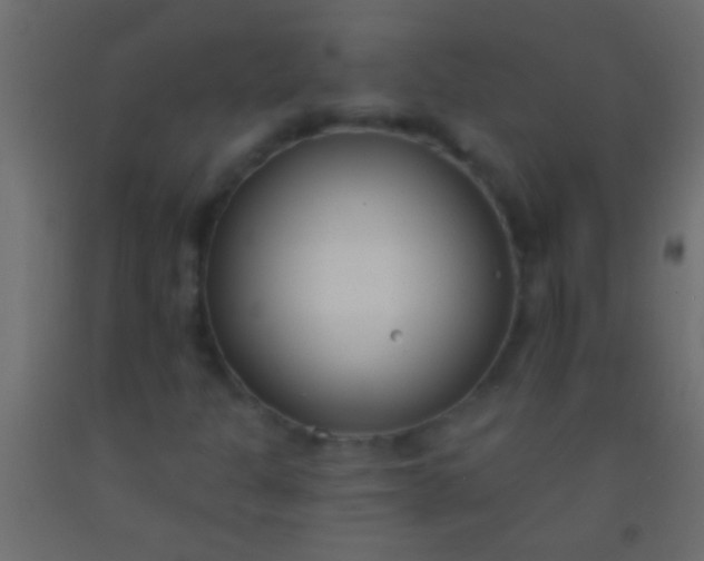 X0000093091301200710101508