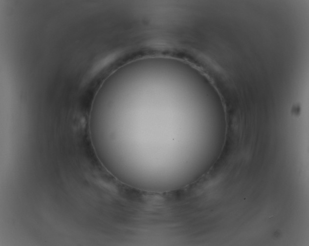 X0000093091302200710101508