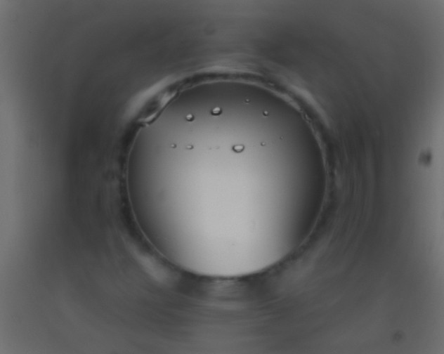 X0000093091304200710101508