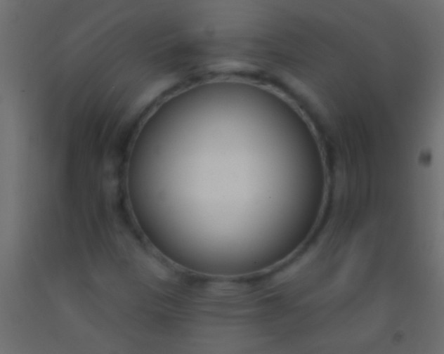 X0000093091305200710101508