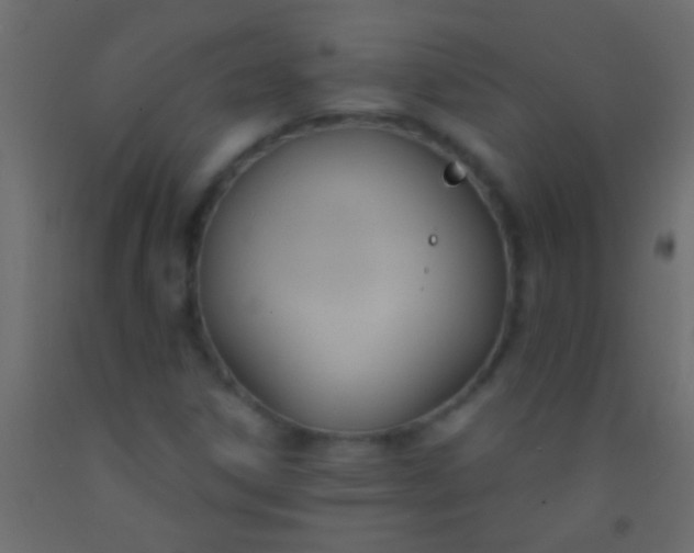 X0000093091306200710101508