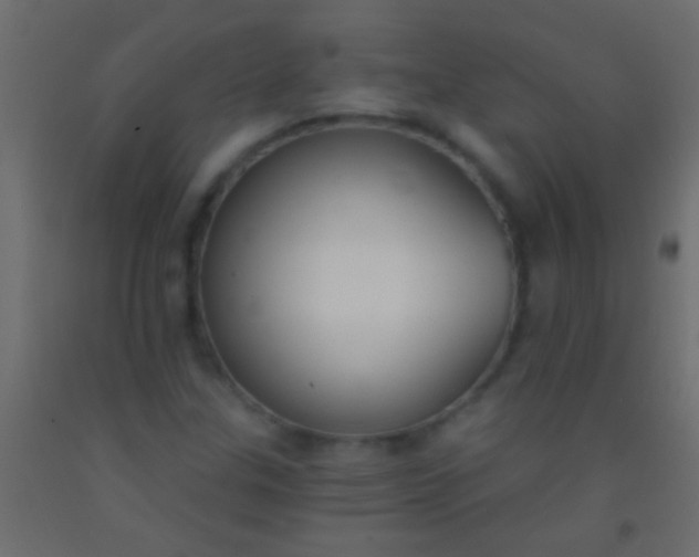 X0000093091307200710101508