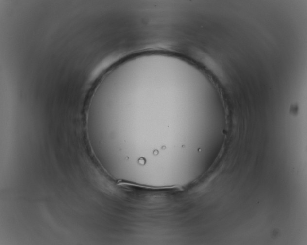 X0000093091308200710101508