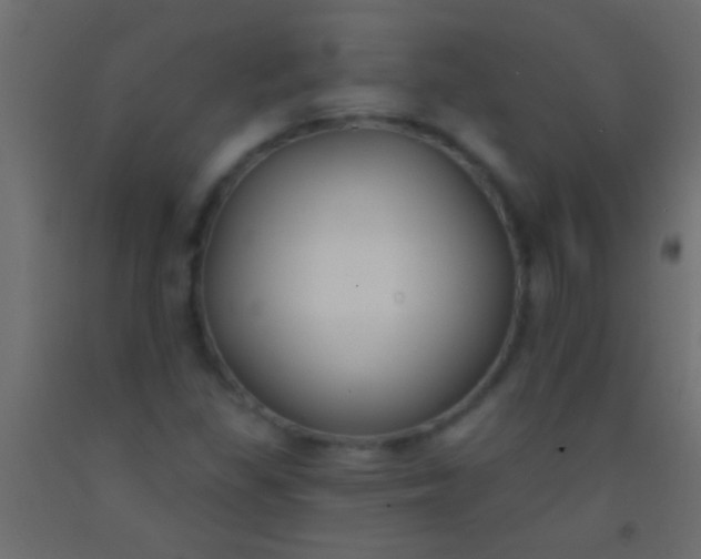 X0000093091309200710101508