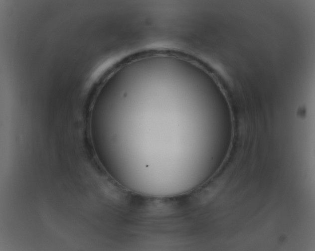 X0000093091311200710101508