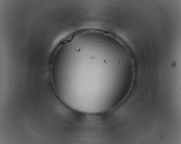 X0000093091312200710101508