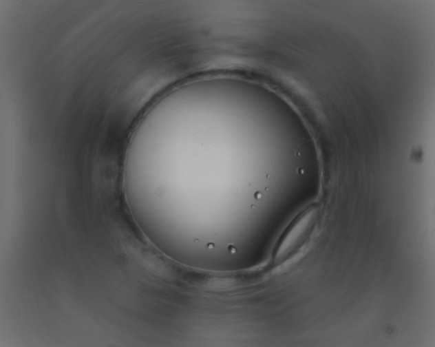 X0000093091313200710101508