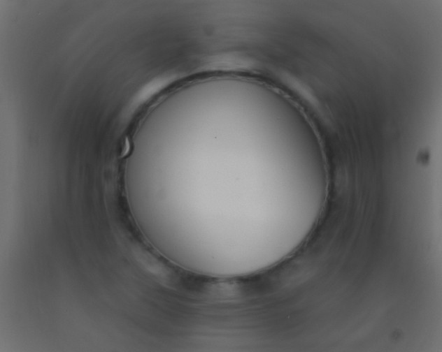 X0000093091315200710101509