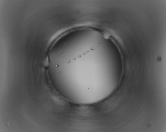 X0000093091316200710101509