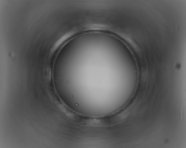 X0000093091317200710101509