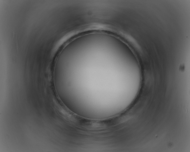 X0000093091318200710101509