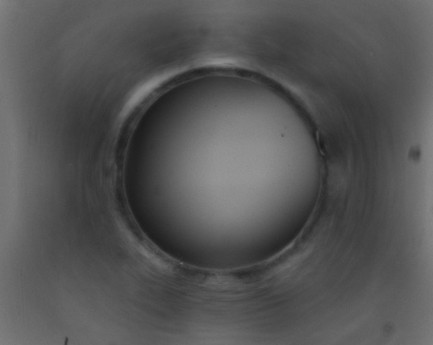 X0000093091319200710101509