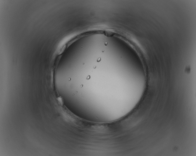 X0000093091320200710101509