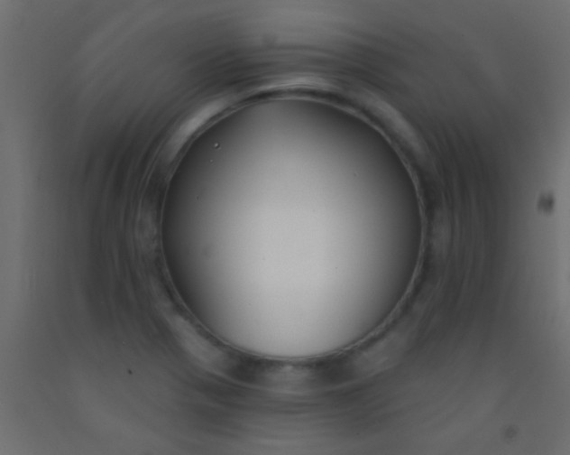 X0000093091321200710101509