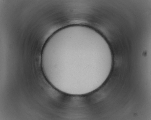 X0000093091322200710101509