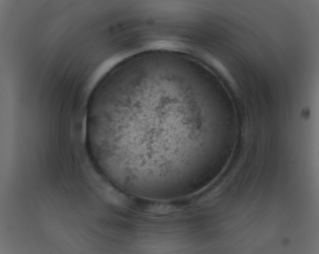 X0000093091323200710101509