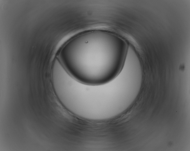 X0000093091324200710101509