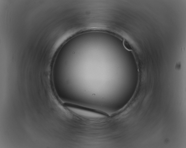 X0000093091325200710101509