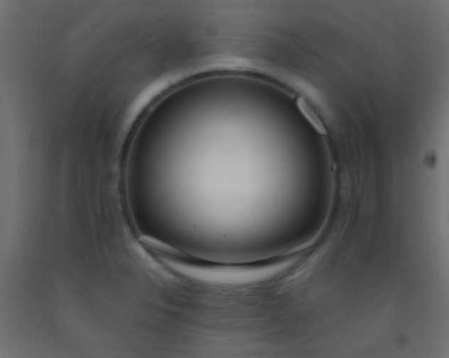 X0000093091326200710101509