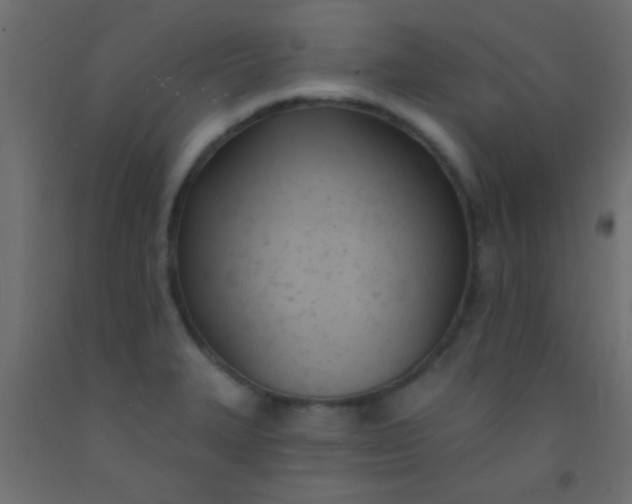 X0000093091327200710101509