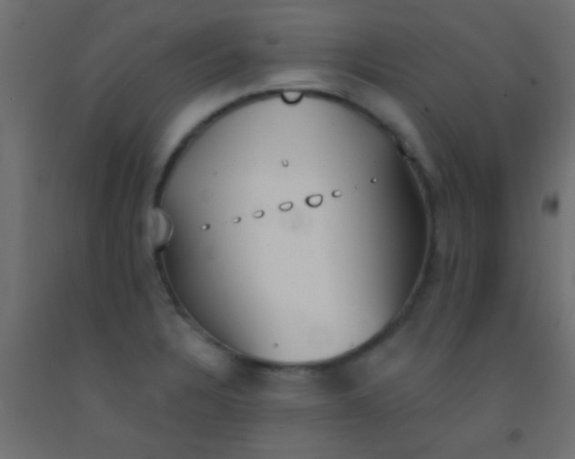 X0000093091328200710101509