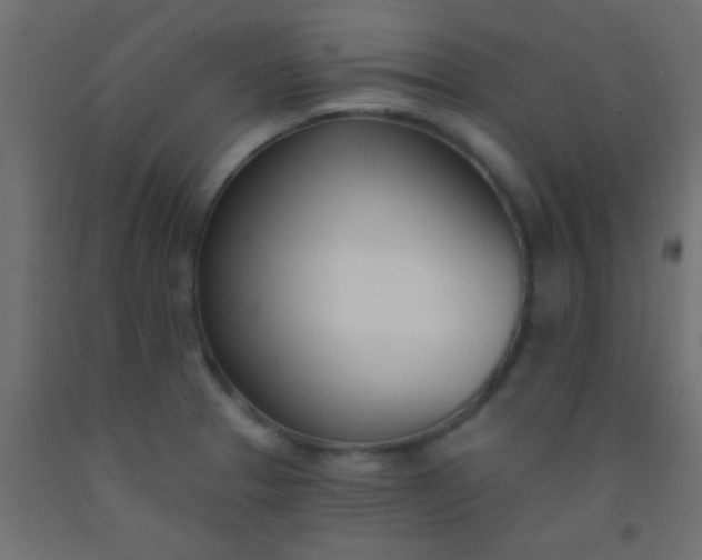 X0000093091329200710101509