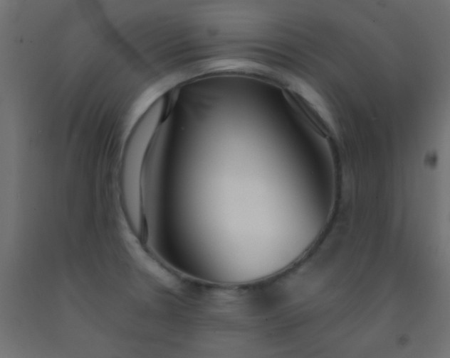 X0000093091330200710101509