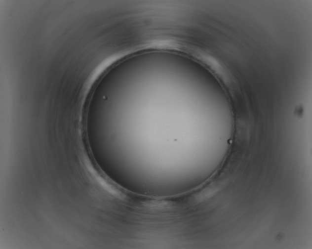 X0000093091331200710101509