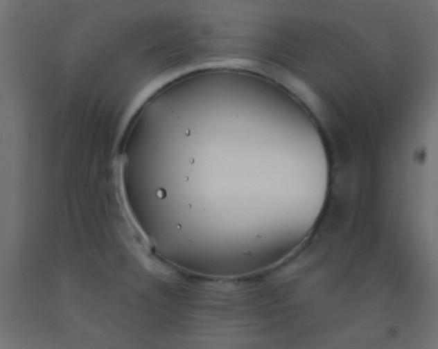 X0000093091332200710101509