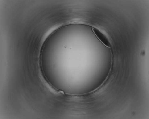 X0000093091333200710101509