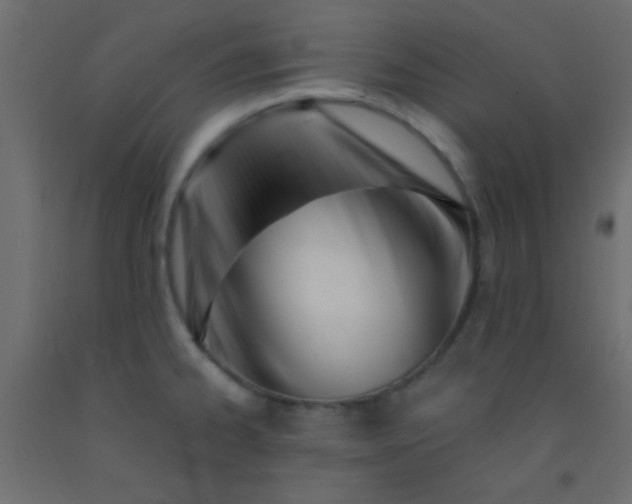 X0000093091334200710101509