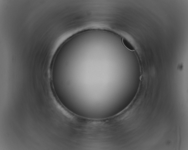 X0000093091335200710101509