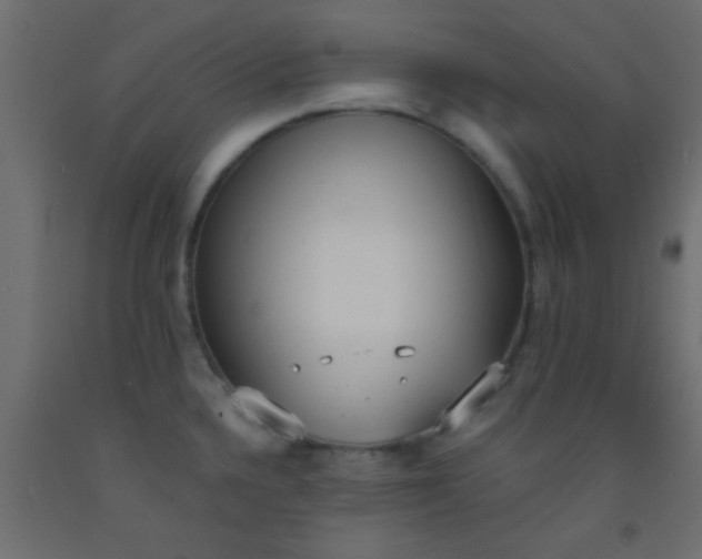 X0000093091336200710101509